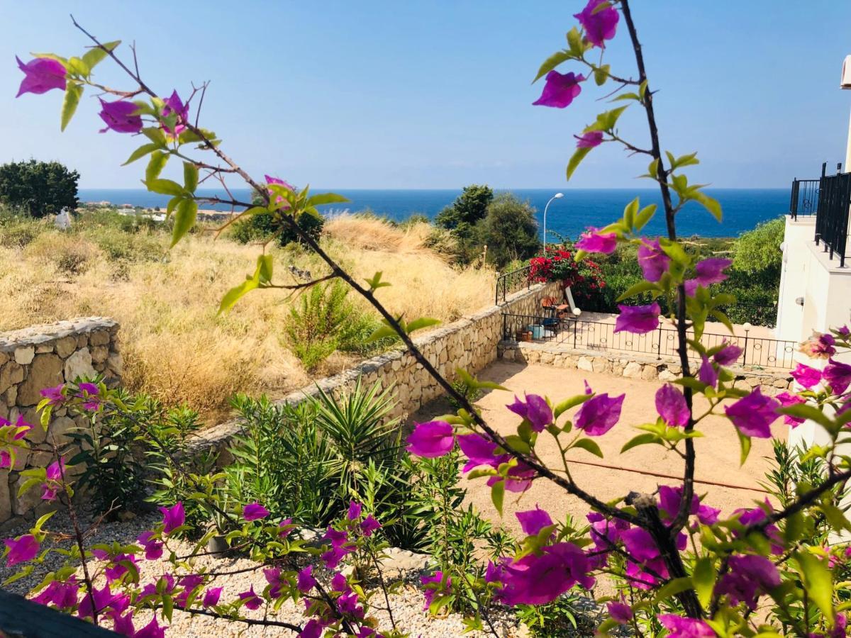 Seaview Apartment Esentepe Northern Cyprus Agios Amvrosios  Dış mekan fotoğraf